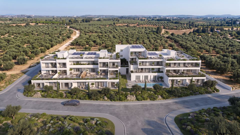Aerial view of the development among olive groves